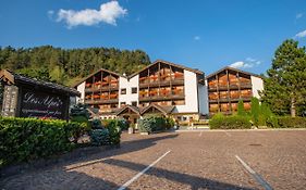 Hotel Des Alpes Cavalese